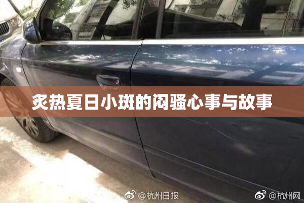 炙热夏日小斑的闷骚心事与故事