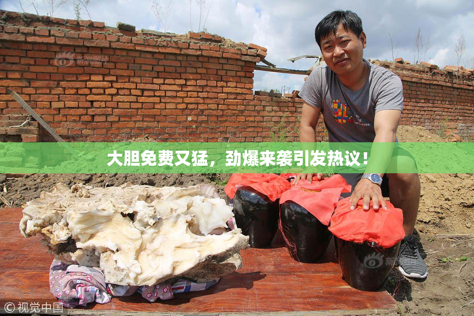 大胆免费又猛，劲爆来袭引发热议！
