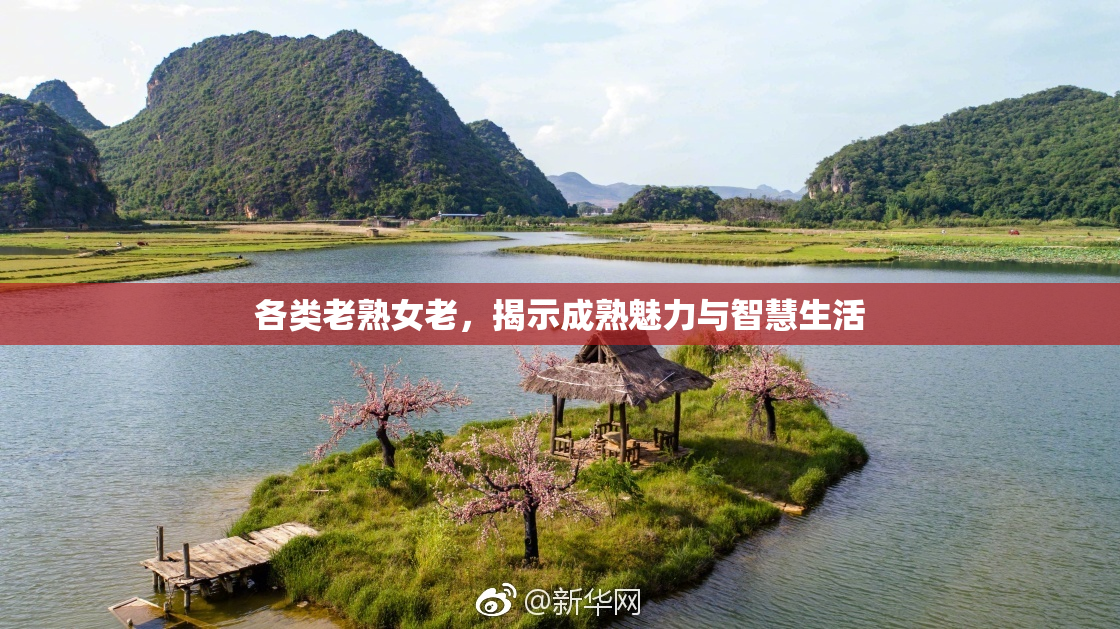 各类老熟女老，揭示成熟魅力与智慧生活