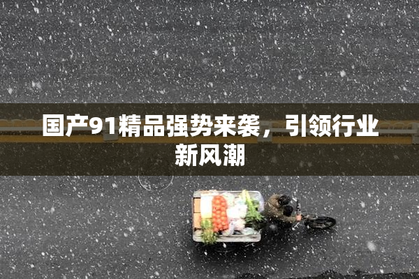 国产91精品强势来袭，引领行业新风潮