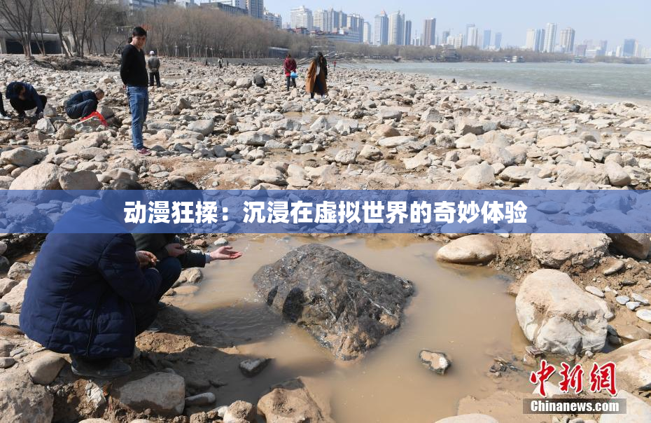 动漫狂揉：沉浸在虚拟世界的奇妙体验