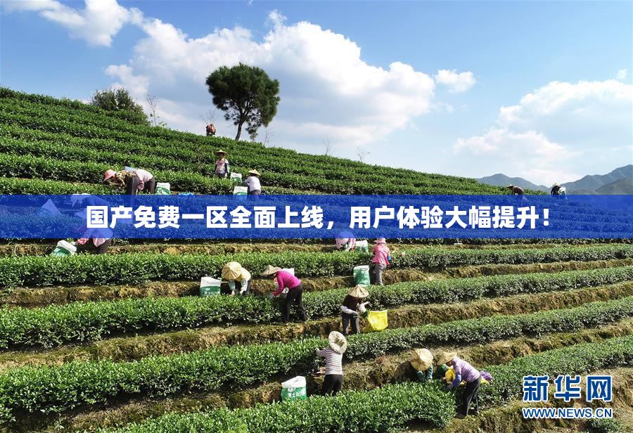 国产免费一区全面上线，用户体验大幅提升！