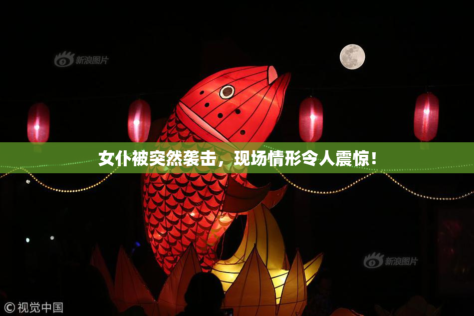 女仆被突然袭击，现场情形令人震惊！