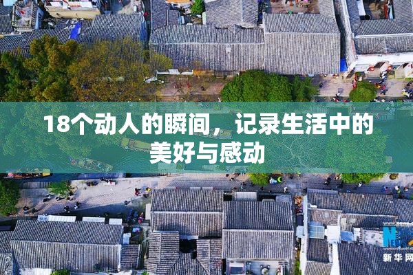 18个动人的瞬间，记录生活中的美好与感动