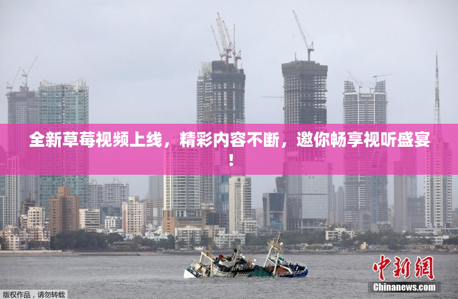 全新草莓视频上线，精彩内容不断，邀你畅享视听盛宴！