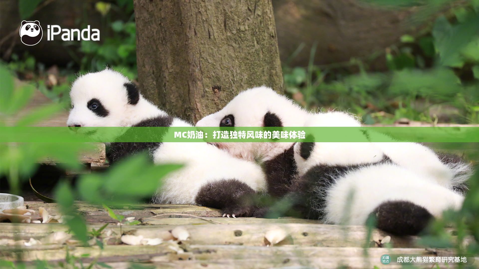 MC奶油：打造独特风味的美味体验
