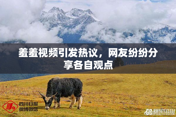 羞羞视频引发热议，网友纷纷分享各自观点