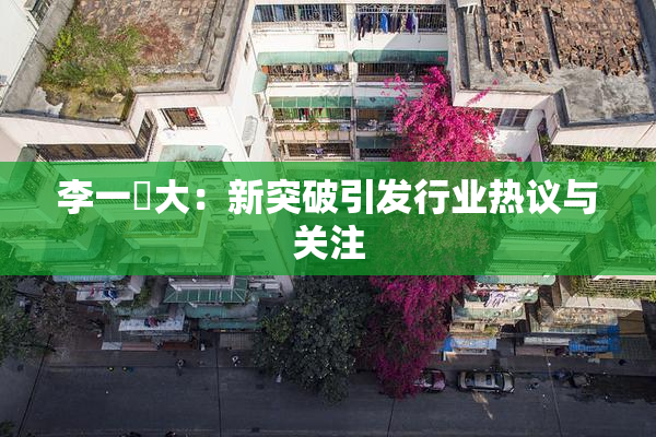 李一挏大：新突破引发行业热议与关注
