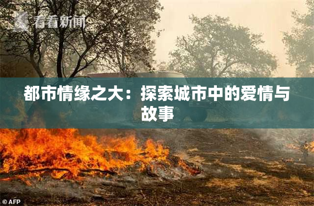 都市情缘之大：探索城市中的爱情与故事