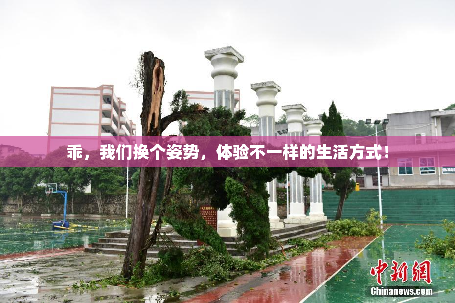 乖，我们换个姿势，体验不一样的生活方式！
