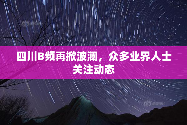 四川B频再掀波澜，众多业界人士关注动态
