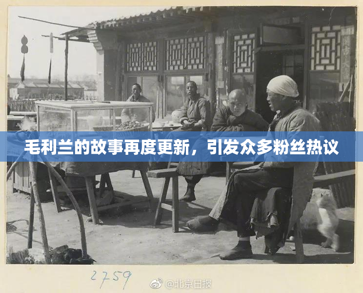 毛利兰的故事再度更新，引发众多粉丝热议