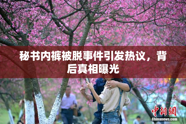 秘书内裤被脱事件引发热议，背后真相曝光