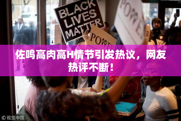 佐鸣高肉高H情节引发热议，网友热评不断！