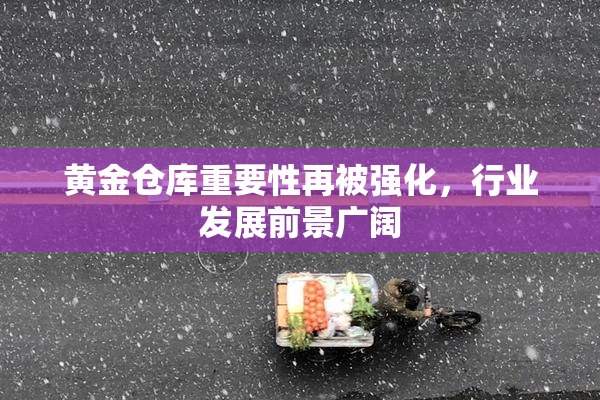 黄金仓库重要性再被强化，行业发展前景广阔
