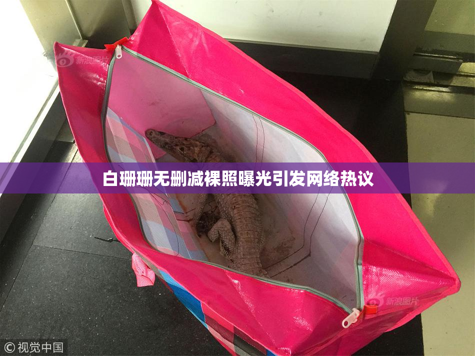 白珊珊无删减裸照曝光引发网络热议