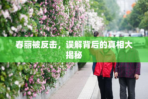 春丽被反击，误解背后的真相大揭秘