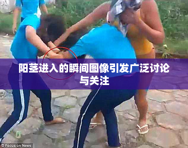 阳茎进入的瞬间图像引发广泛讨论与关注
