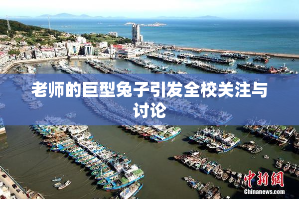 老师的巨型兔子引发全校关注与讨论