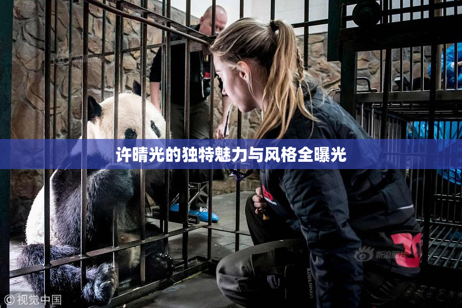 许晴光的独特魅力与风格全曝光
