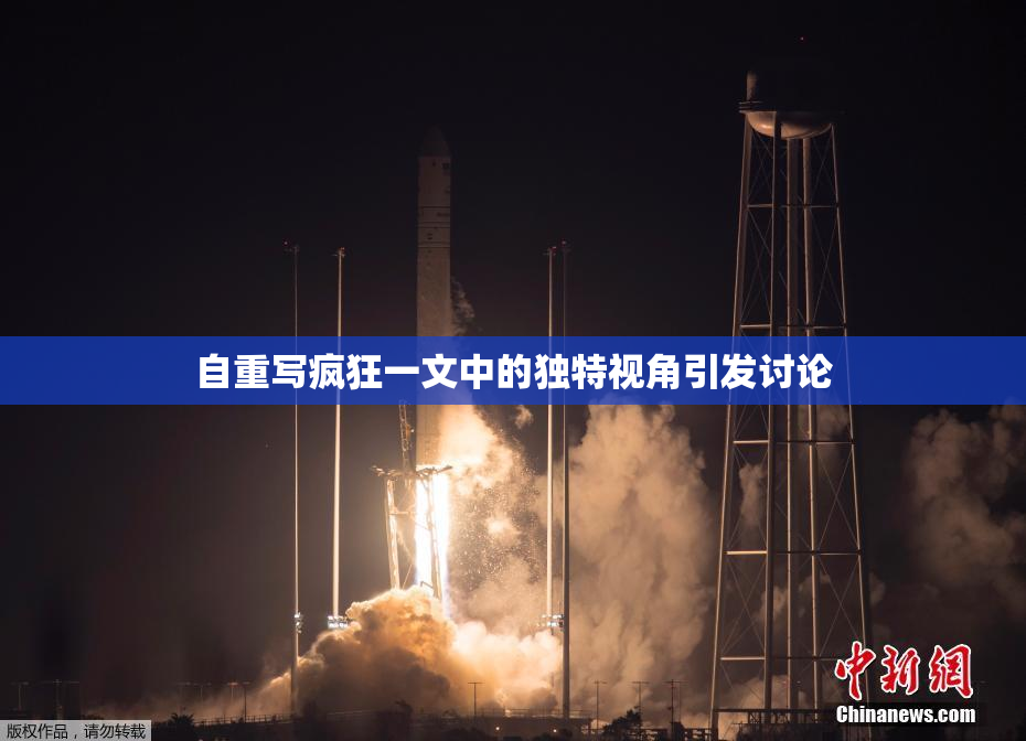 自重写疯狂一文中的独特视角引发讨论