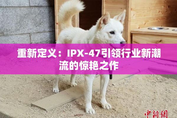 重新定义：IPX-47引领行业新潮流的惊艳之作