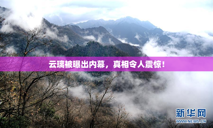 云璃被曝出内幕，真相令人震惊！