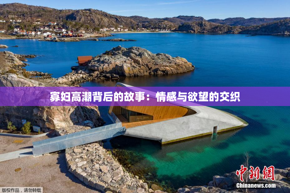 寡妇高潮背后的故事：情感与欲望的交织