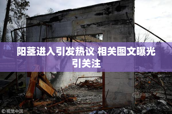 阳茎进入引发热议 相关图文曝光引关注