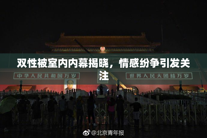 双性被室内内幕揭晓，情感纷争引发关注