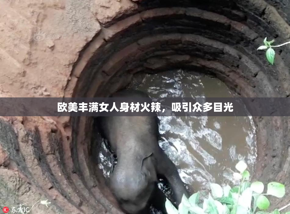 欧美丰满女人身材火辣，吸引众多目光