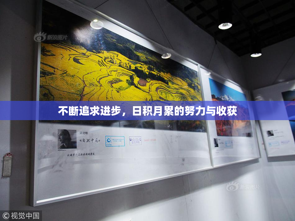 不断追求进步，日积月累的努力与收获