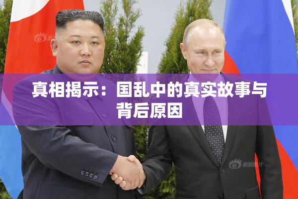 真相揭示：国乱中的真实故事与背后原因