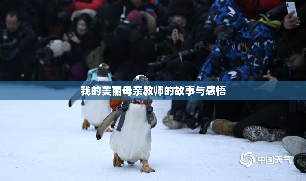 我的美丽母亲教师的故事与感悟