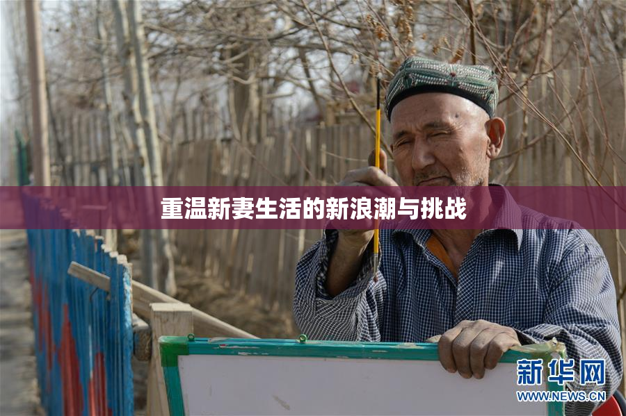 重温新妻生活的新浪潮与挑战