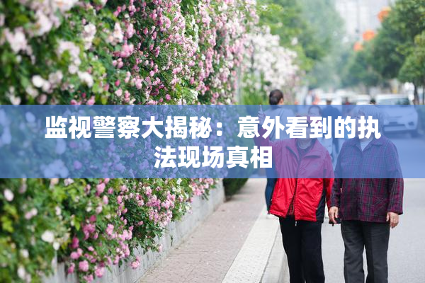 监视警察大揭秘：意外看到的执法现场真相
