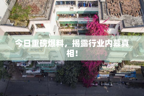 今日重磅爆料，揭露行业内幕真相！