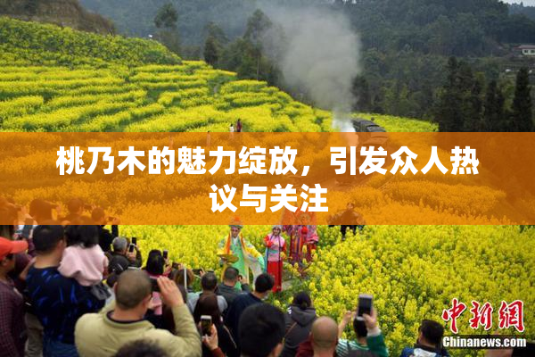 桃乃木的魅力绽放，引发众人热议与关注