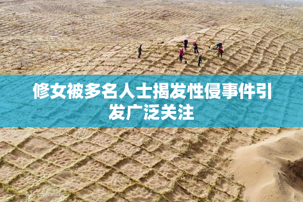 修女被多名人士揭发性侵事件引发广泛关注