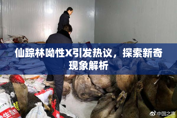 仙踪林呦性X引发热议，探索新奇现象解析