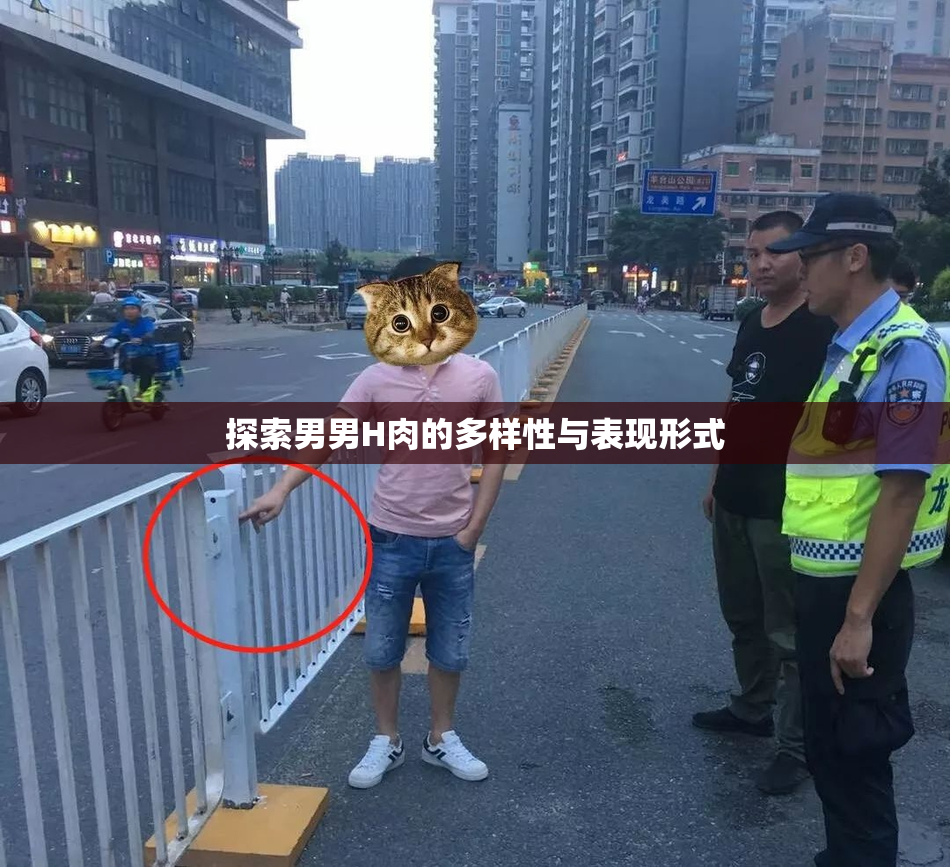 探索男男H肉的多样性与表现形式