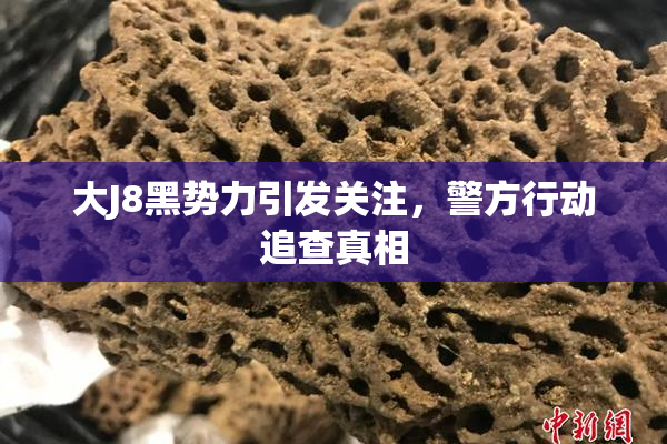 大J8黑势力引发关注，警方行动追查真相