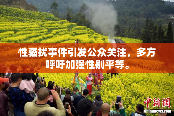 性骚扰事件引发公众关注，多方呼吁加强性别平等。