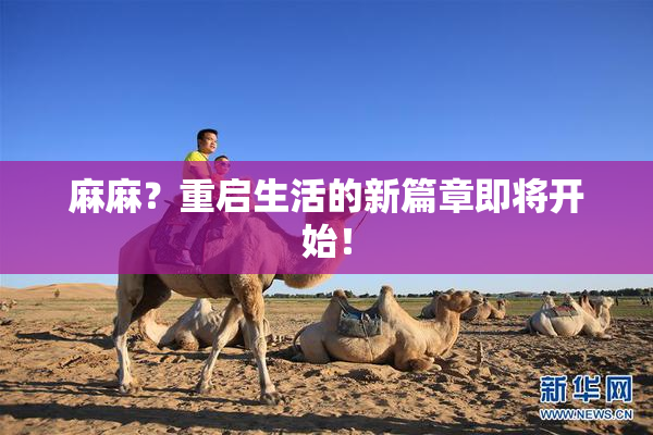 麻麻？重启生活的新篇章即将开始！