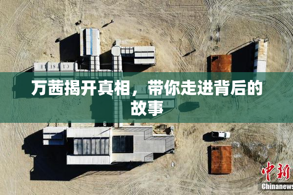 万茜揭开真相，带你走进背后的故事