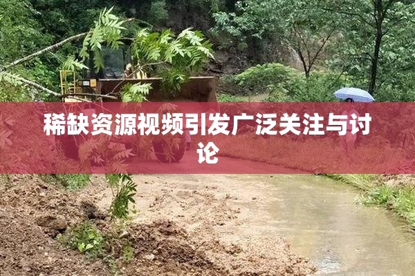 稀缺资源视频引发广泛关注与讨论
