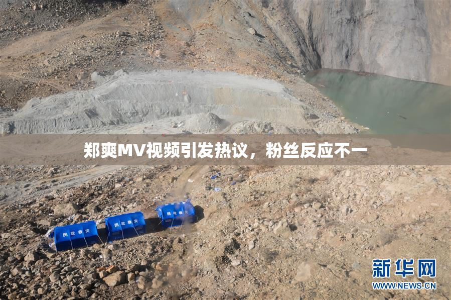 郑爽MV视频引发热议，粉丝反应不一