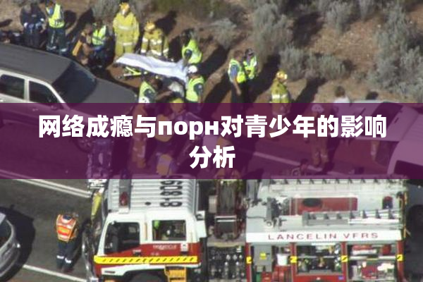 网络成瘾与порн对青少年的影响分析