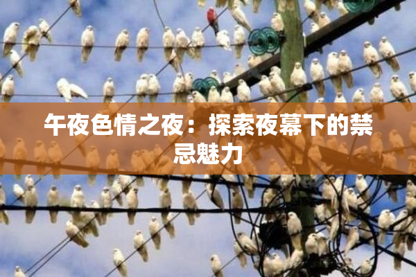 午夜色情之夜：探索夜幕下的禁忌魅力