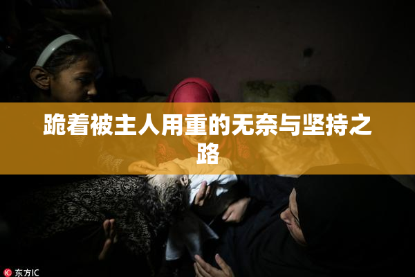 跪着被主人用重的无奈与坚持之路